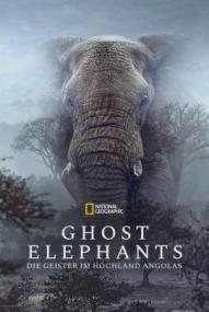 Ghost Elephants - Die Geister im Hochland Angolas ([xfvalue_year limit=