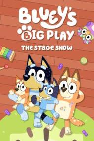 Bluey's Big Play