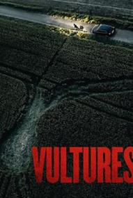 Vultures ([xfvalue_year limit=