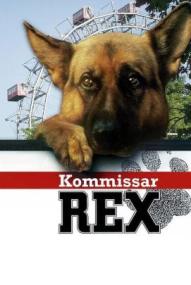 Kommissar Rex - Staffel 11 ([xfvalue_year limit=