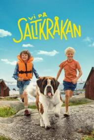 Unsere Ferien auf Saltkrokan - Staffel 1 ([xfvalue_year limit=