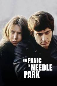 Panik im Needle Park (1971)