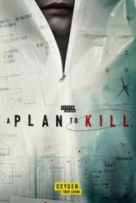 A Plan to Kill - Staffel 1 (2024)
