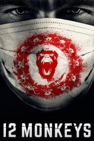 12 Monkeys - Staffel 3 ([xfvalue_year limit=