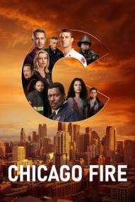 Chicago Fire - Staffel 14 (2012)