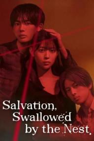 Salvation, Swallowed by the Nest - Staffel 1 *Subbed* ([xfvalue_year limit=
