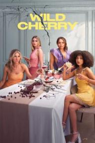 Wild Cherry - Staffel 1 ([xfvalue_year limit=