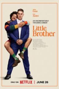 Little Brother ([xfvalue_year limit=