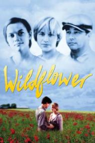 Wilde Sehnsucht ([xfvalue_year limit=