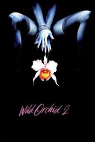 Wilde Orchidee 2 (1991)