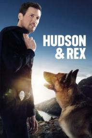 Hudson & Rex - Staffel 8 ([xfvalue_year limit=