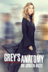 Grey's Anatomy - Staffel 22 ([xfvalue_year limit=