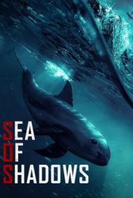 Sea of Shadows – Kampf um das Kokain des Meeres (2019)