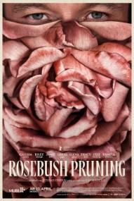 Rosebush Pruning ([xfvalue_year limit=