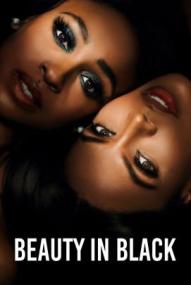 Tyler Perry's Beauty In Black - Staffel 3 ([xfvalue_year limit=
