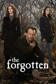 The Forgotten - Die Wahrheit stirbt nie - Staffel 1 (2009)