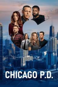 Chicago P.D. - Staffel 13 (2014)