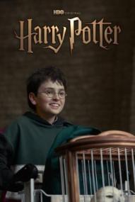 Harry Potter Fernsehserie (2026)