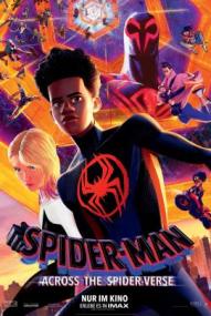 Spider-Man: Across the Spider-Verse (2023)