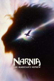 Das Wunder von Narnia ([xfvalue_year limit=