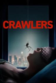 Crawlers – Im Netz der Spinnen ([xfvalue_year limit=