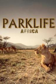 Parklife: Afrika - Staffel 1 (2000)