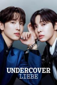 Undercover Liebe - Staffel 1 (2026)
